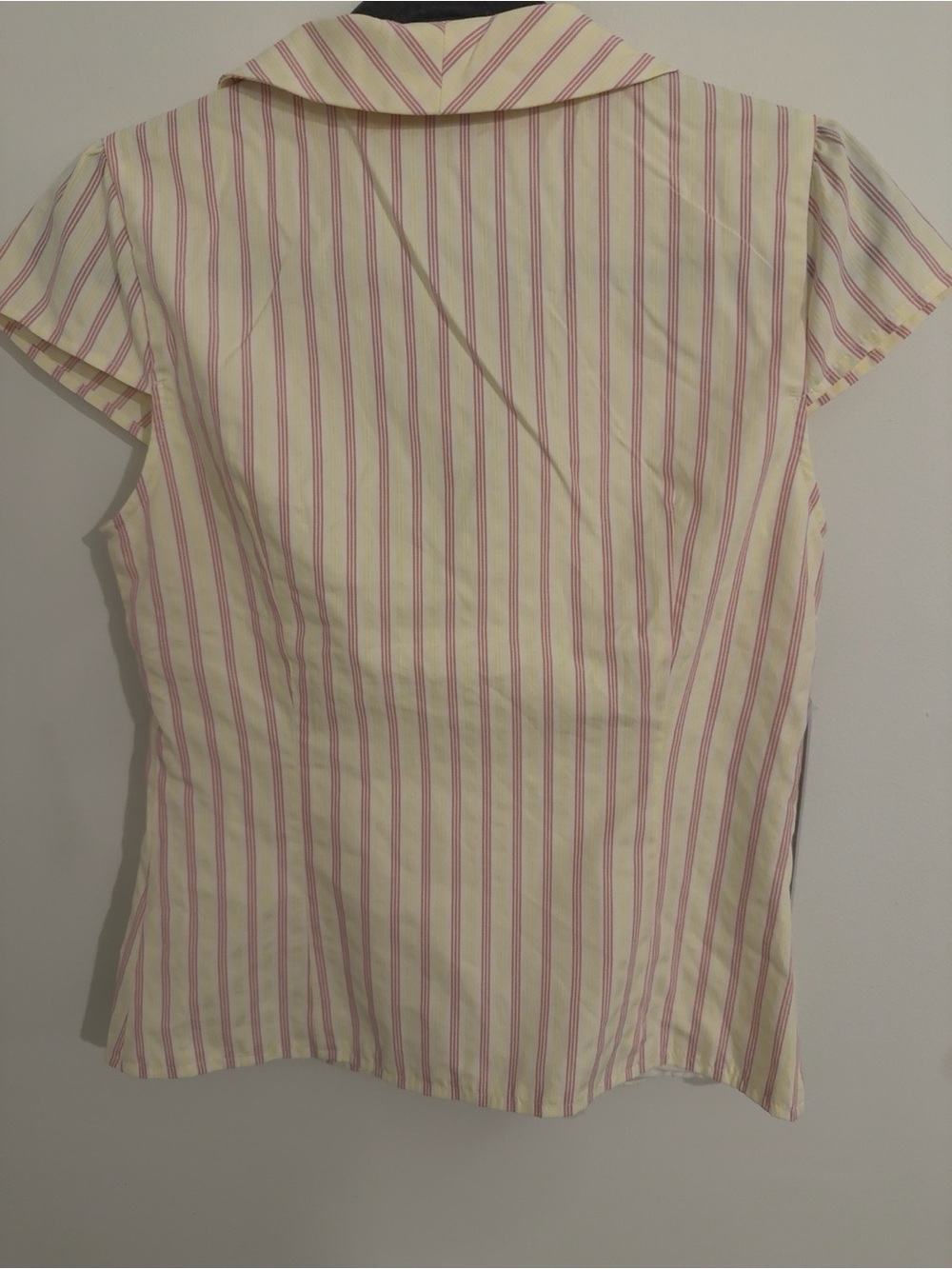 NWT Princess Polly Ellis Island Pink Stripe Collared Top US 6 Coastal Preppy - Picture 6 of 10